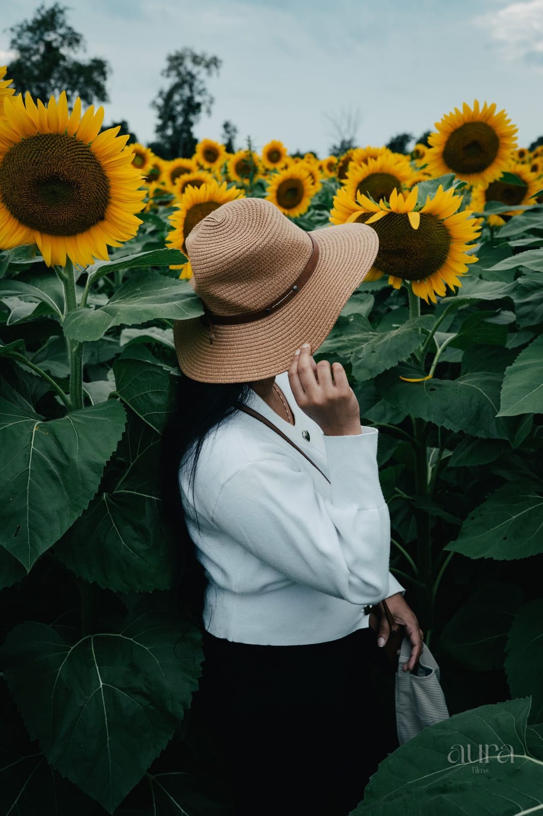 A woman in a wide-brimmed hat stands in a field of sunflowers