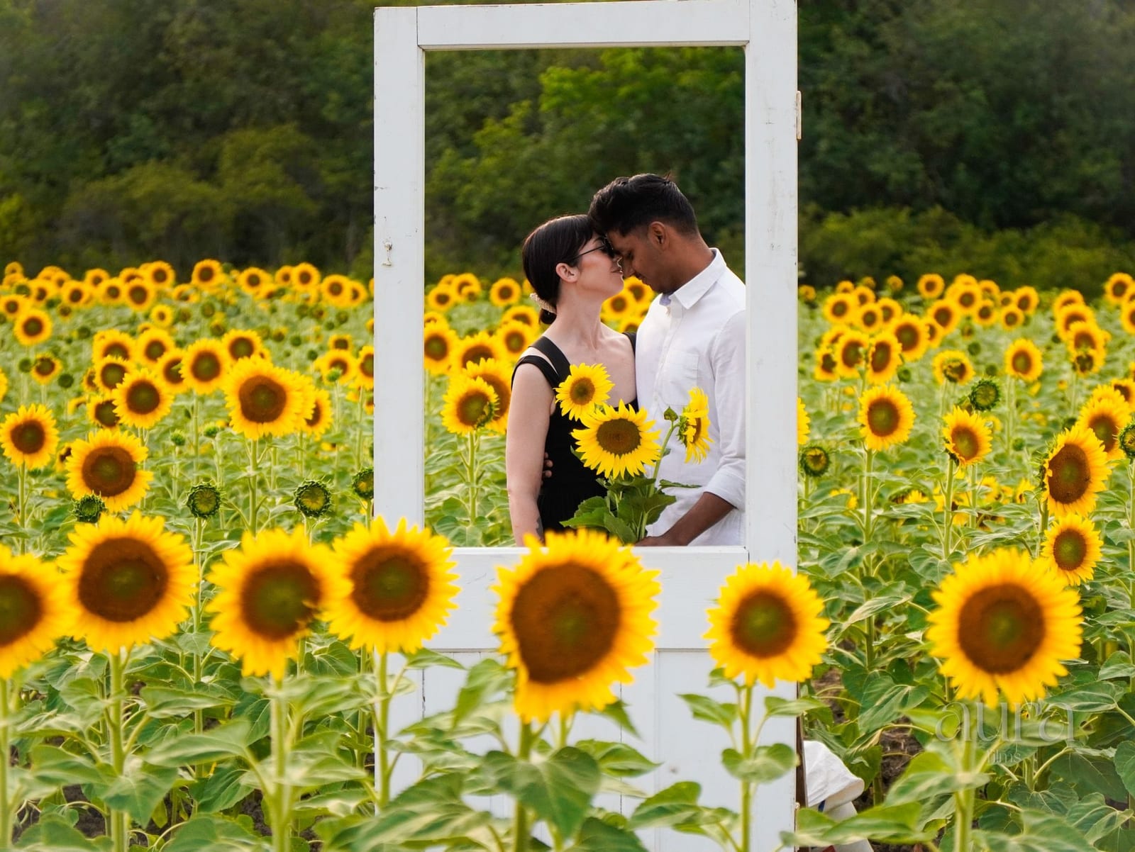 Weddings by Aura Films